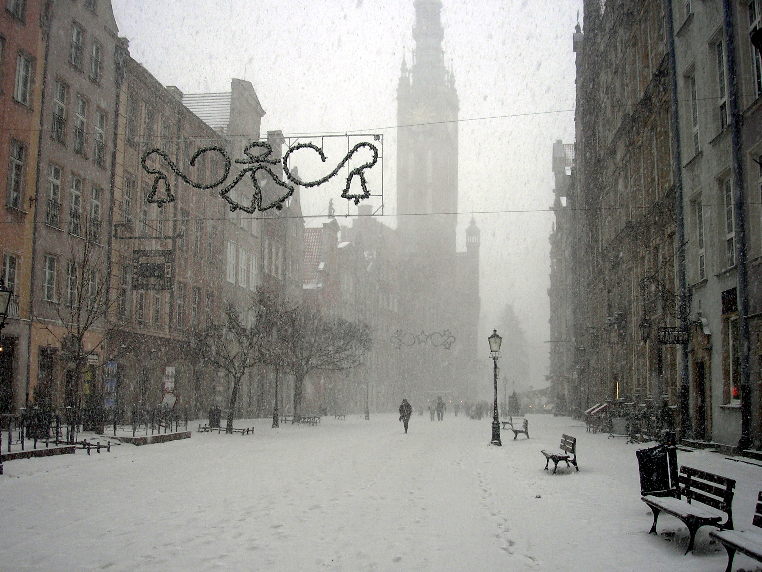 image - Denys Zadorozhnyi