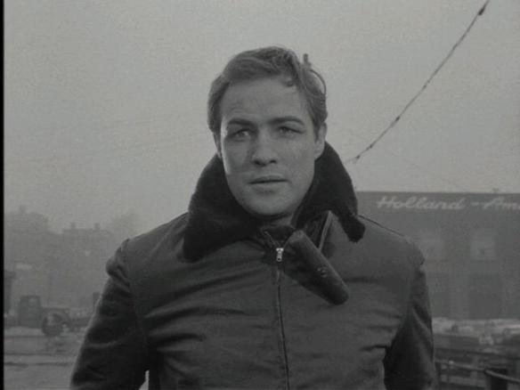 On the Waterfront/Amazon