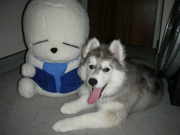 Best buds. Credit: DONG_OF_JUSTICE / Imgur