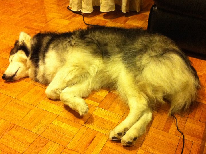 This picture was taken at 3AM. She needs to be in the same room as you, even if she's just sleeping there. Credit: DONG_OF_JUSTICE / Imgur