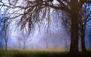 What They Don’t Tell You About Grief