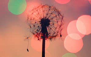 How To Forget Someone