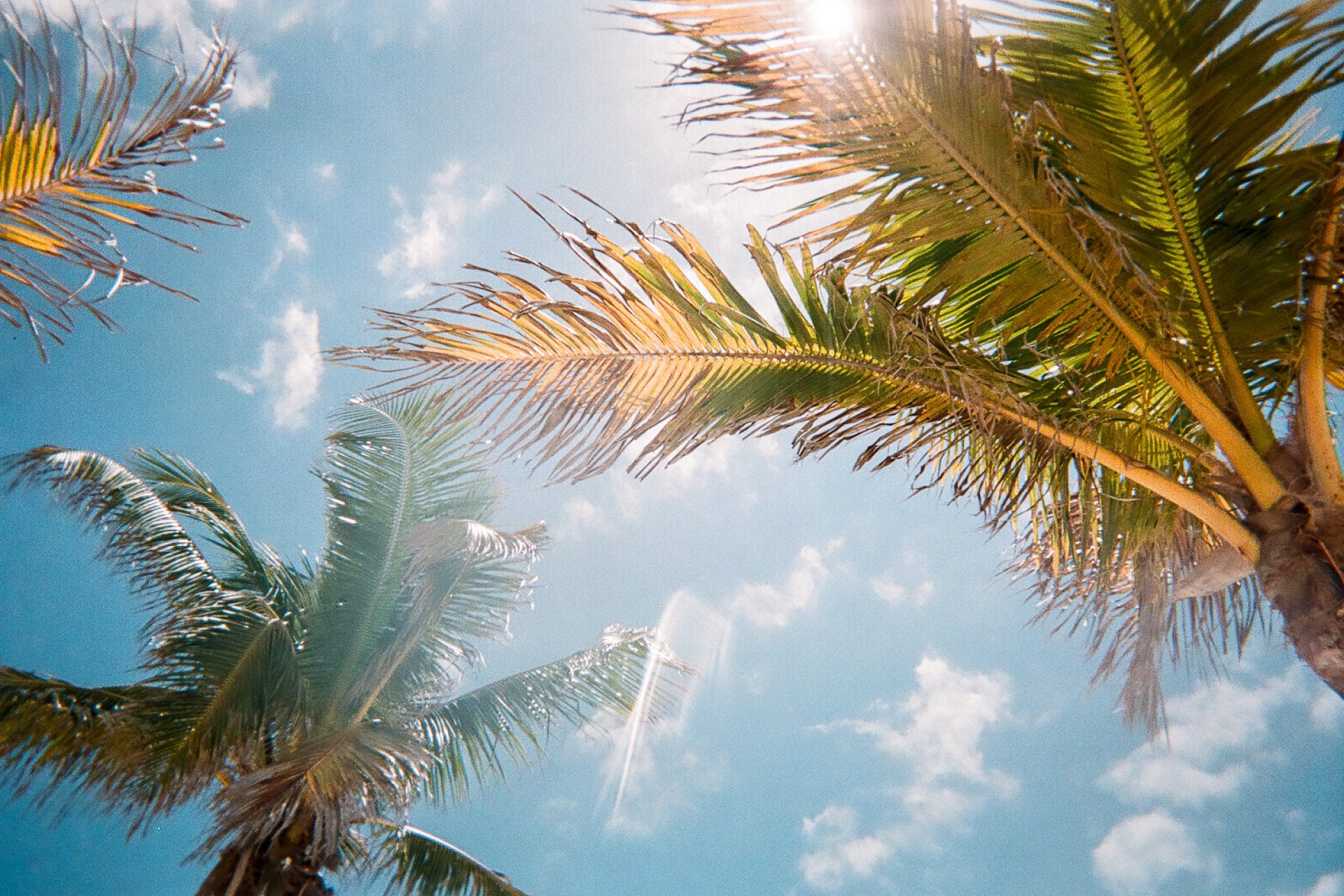 I’ll Move Back To Florida When I’m Old