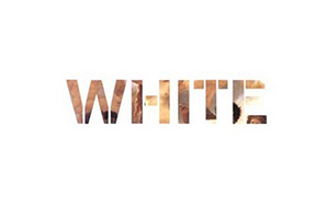A Definitive Guide To White Privilege