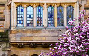 The 43 Greatest Quotes About Being In College