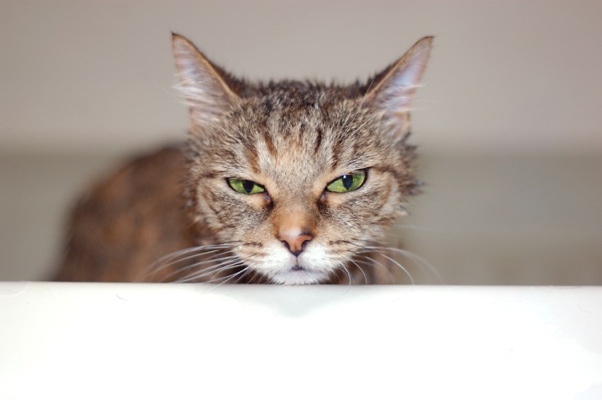 20 Ways To Deal With People Who Annoy The Crap Out Of You