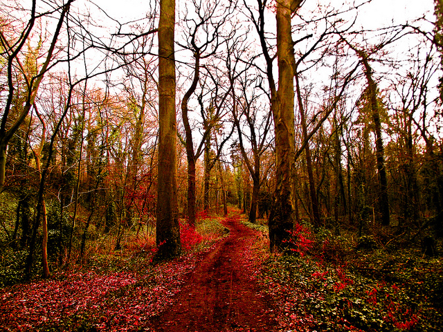 53 Quotes That Will Make You Rethink Everything