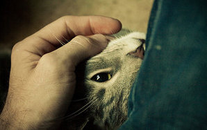 Six Ways You Can Be A Better Cuddler
