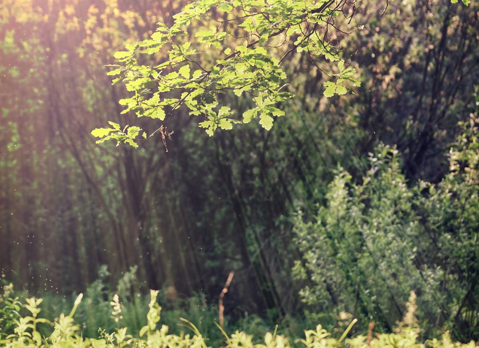 16 Signs You’re Happier Than You Think