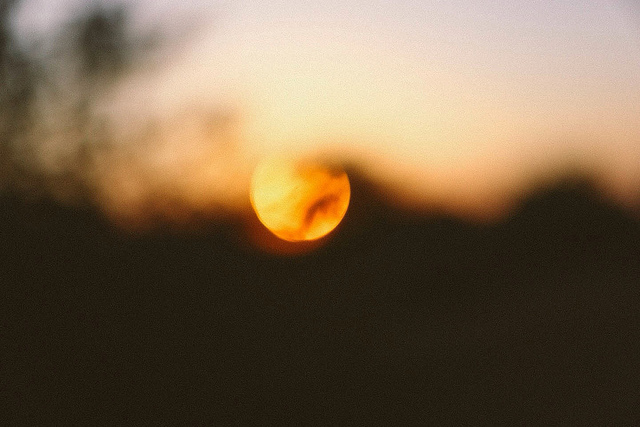 15 People On What Their Reason To Live Is