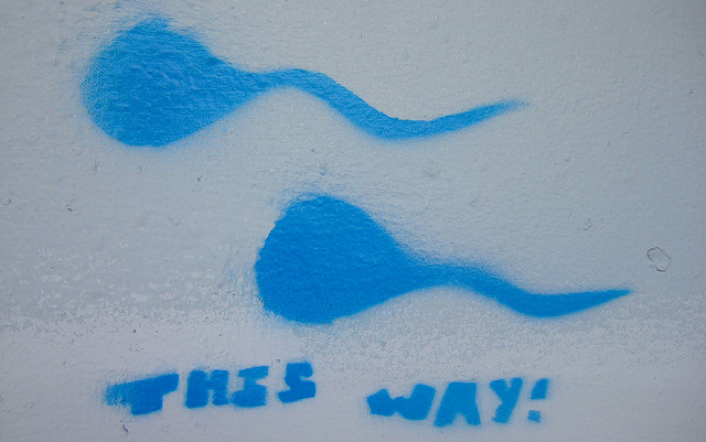 My Affair With Sperm