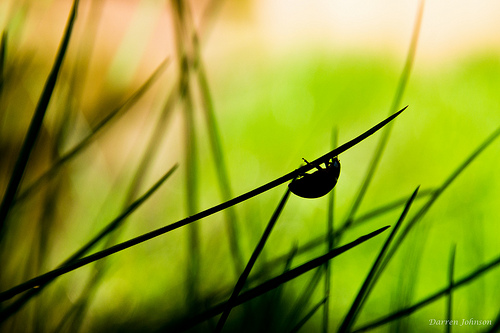 7 Little Moments That Define Our Lives