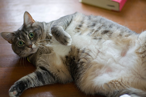 17 Weird Habits We All Have But Won’t Admit It