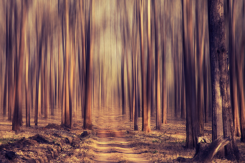 21 Funny, Wise, and Seriously Difficult Quotes on Growing Up