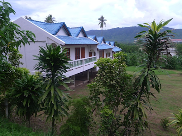 My Interview With The World’s Youngest Ibogaine Provider