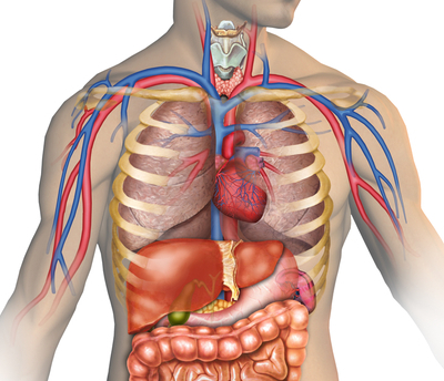 26 People Reveal The One Disgusting Thing About The Human Body