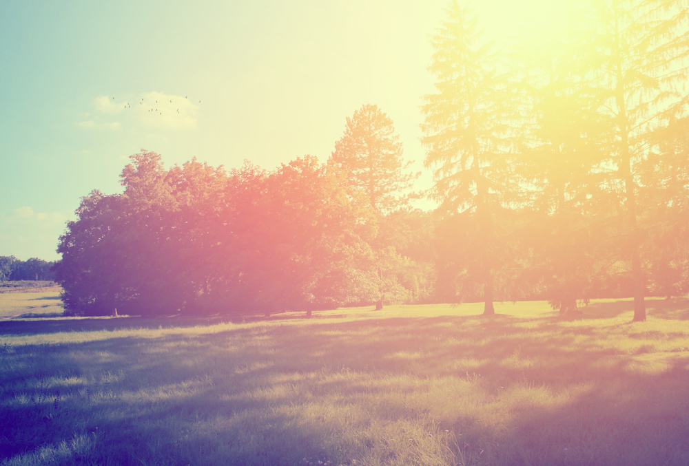 21 Pablo Neruda Quotes That Are Perfect For Spring Love