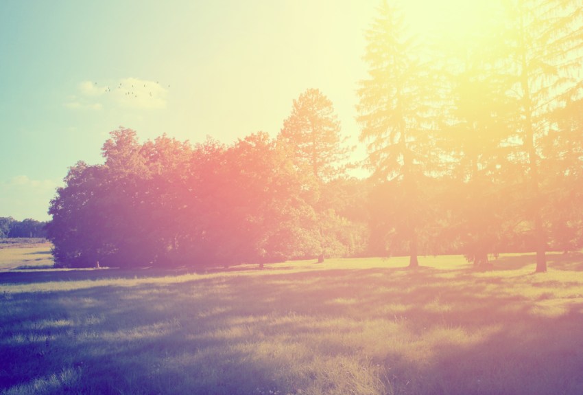 21 Pablo Neruda Quotes That Are Perfect For Spring Love