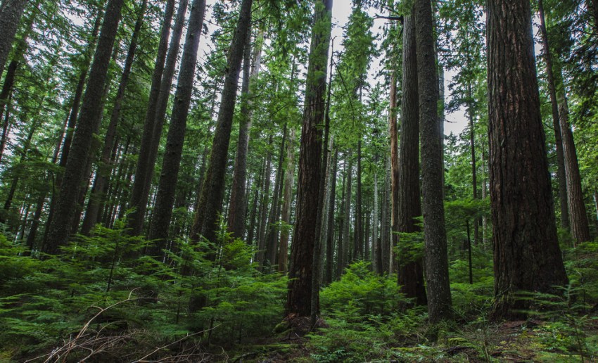 25 Hikers And Backpackers Reveal The Creepiest, Scariest Things They’ve Found In The Wild