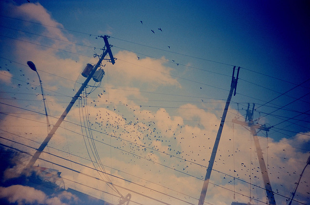 33 Spectacular Quotes About The Human Condition That You Need In Your Life Right Now