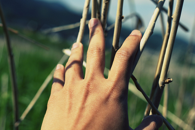 33 Brilliant Quotes About The Human Experience You Never Knew You Needed Until Right Now