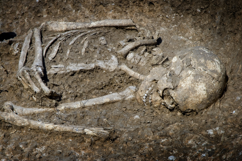 A 3-Year-Old Boy Remembered Being Murdered In His “Last” Life, Correctly Points To Where His Body Was Buried