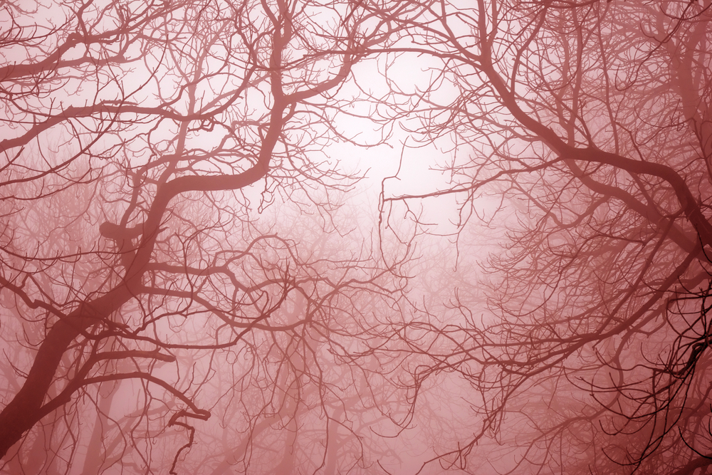 31 People Share The Weirdest, Creepiest Thing They Know That Have Happened In Real Life