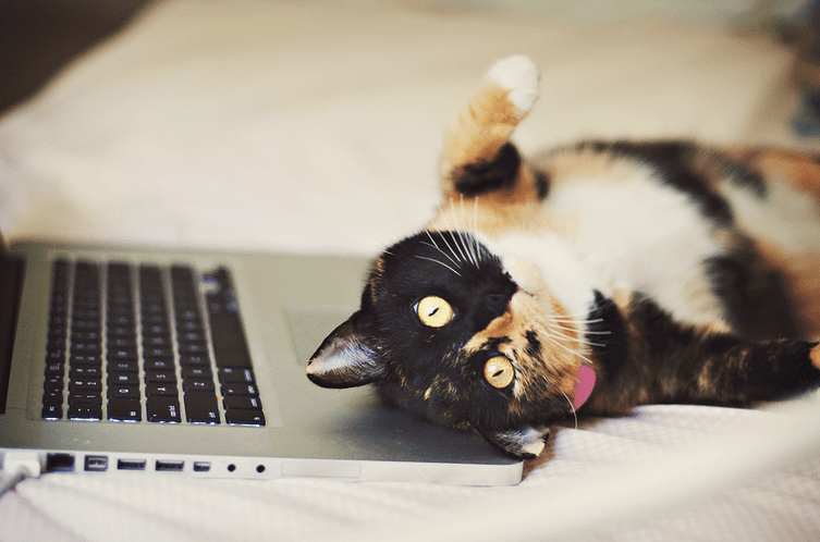 17 Embarrassing Things You Do When You Decide To Stay In On Friday Night