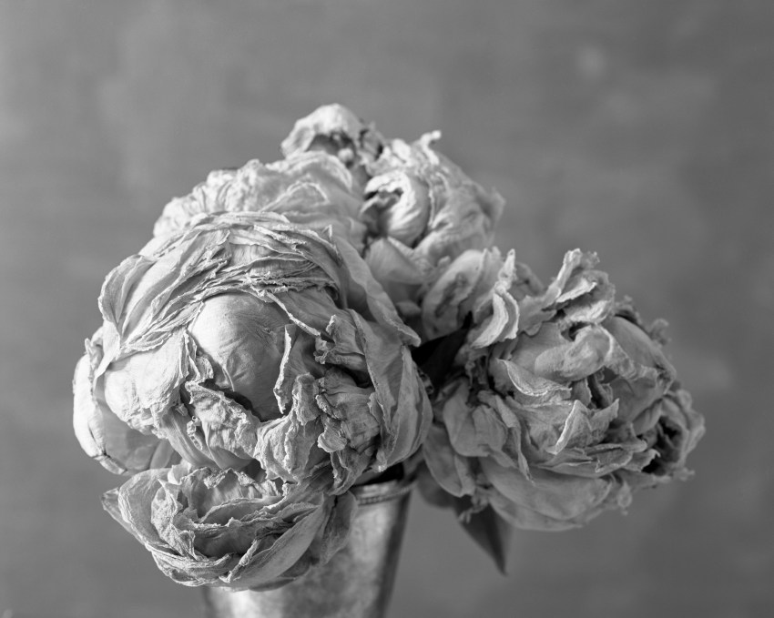 I Got My Mother-In-Law To Cheat On Her Husband With Me