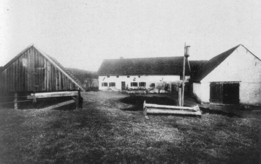 10 Terrifying Wikipedia Pages That Will Ruin Your Life