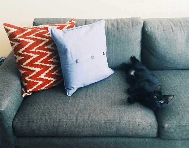 6 Steps To Getting The Perfect Night Of Sleep, Every Time