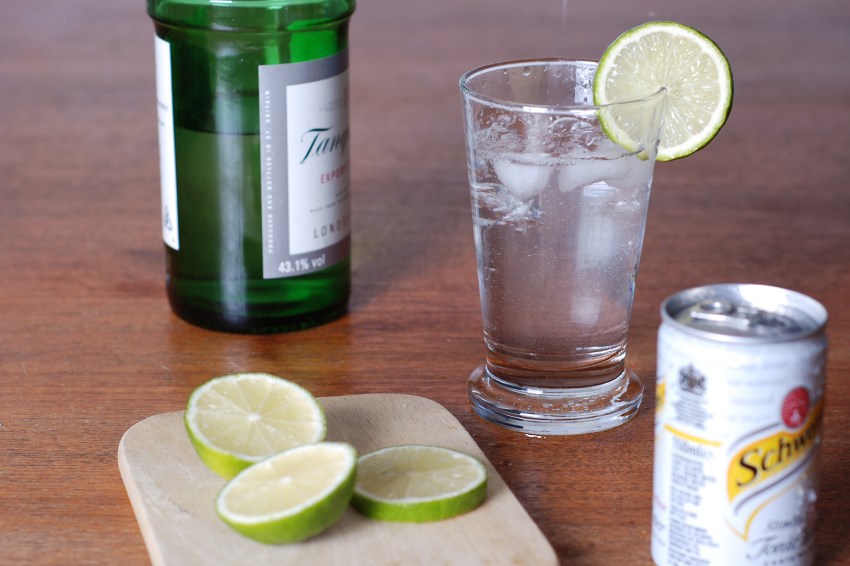 11 Perfectly Good Reasons To Drink More Gin