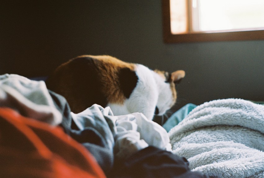 6 Ways To Tell Yourself Everything Will Be Okay