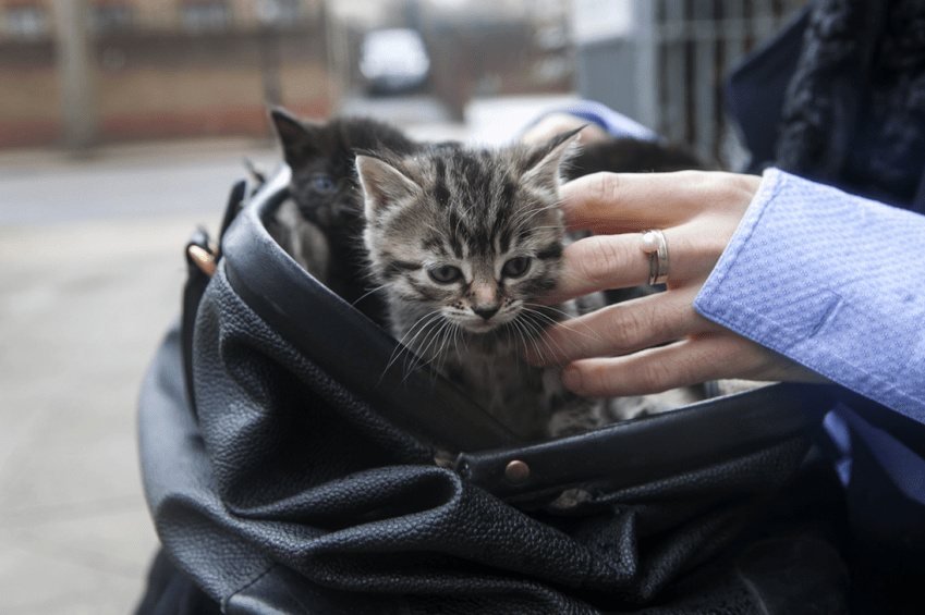 15 Signs You’re Too Comfortable Being Single