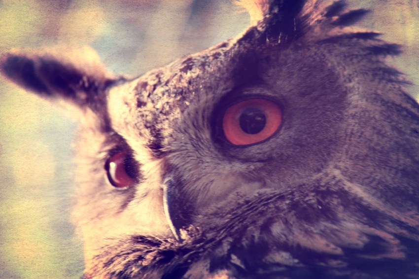 15 Struggles Nocturnal People Face