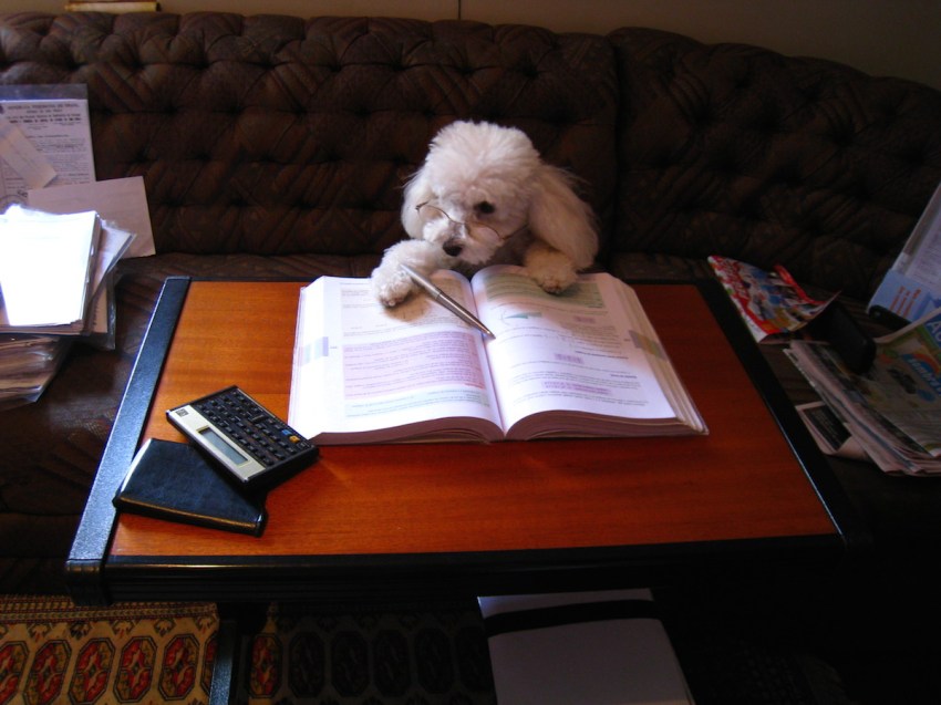 17 People Reveal The Disadvantages Of Being Smart