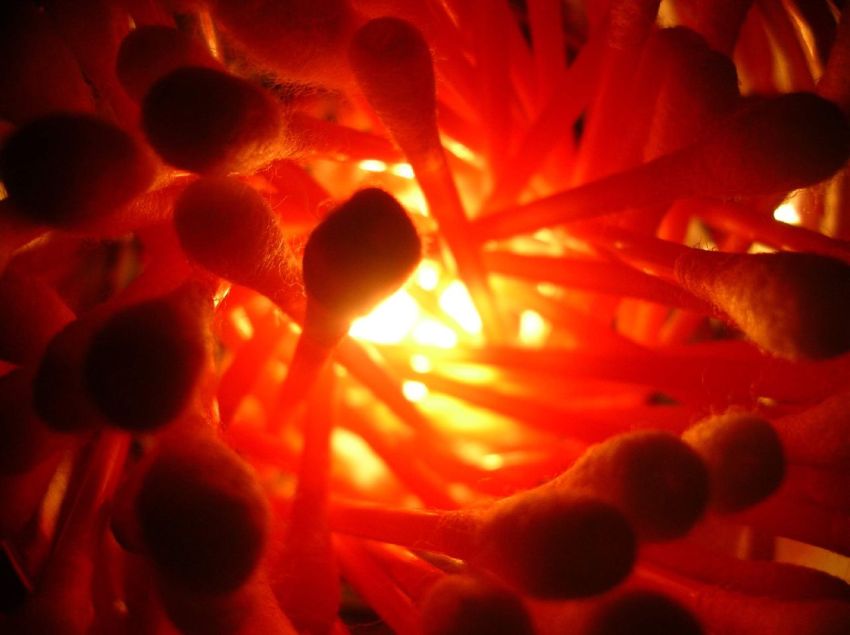 What Every Woman Has Waited For: 100% Effective Birth Control For Men May Be Available In 2017