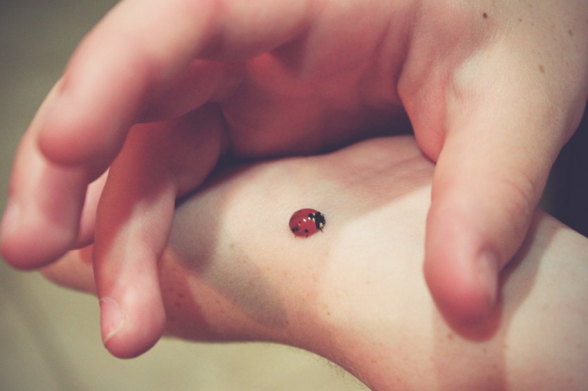 The Day You Realize You’re No Longer Heartbroken