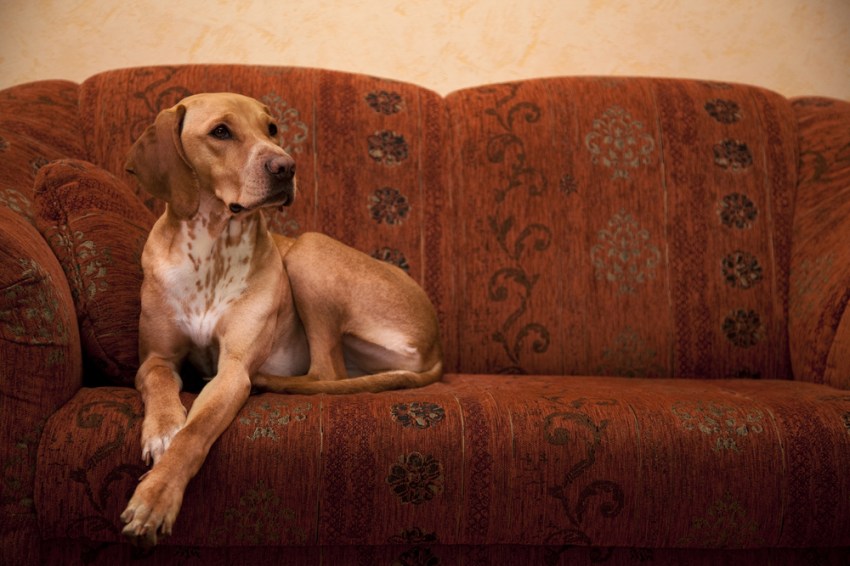 9 Things You Start Doing When You’re No Longer Fun