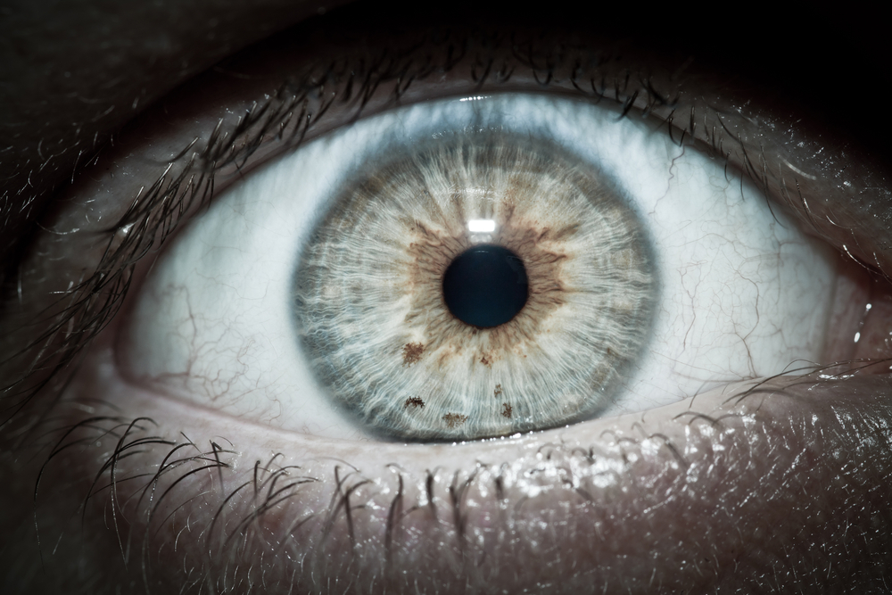 7 Terrifying True Tales Of The Paranormal