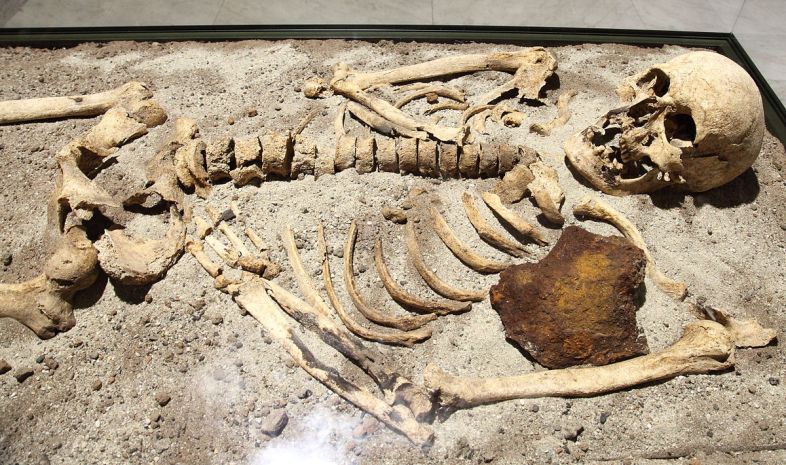 1200px-Vampire_skeleton_of_Sozopol_in_Sofia_PD_2012_06