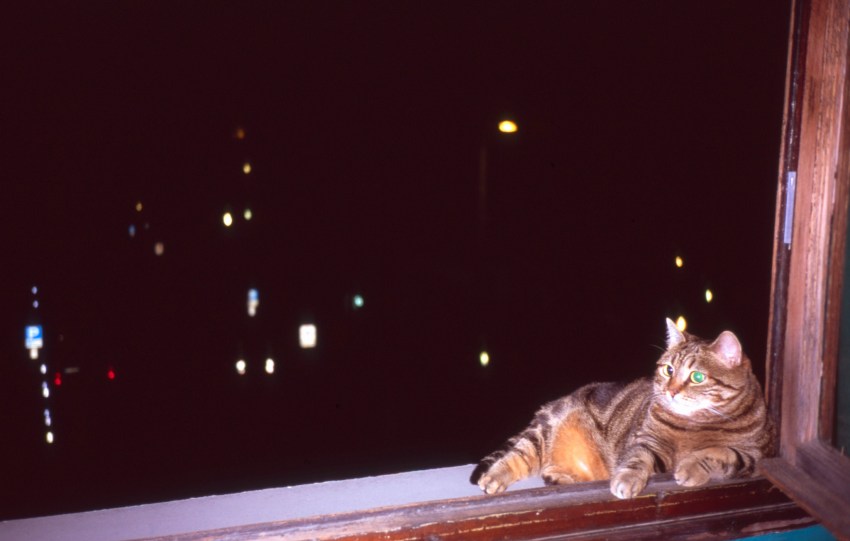 25 Potential Reasons I’m Still Single (And Why You Might Be Too)