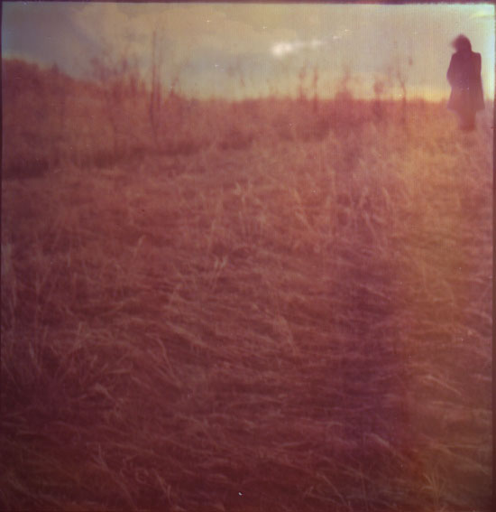 image - Flickr / Lauren Treece