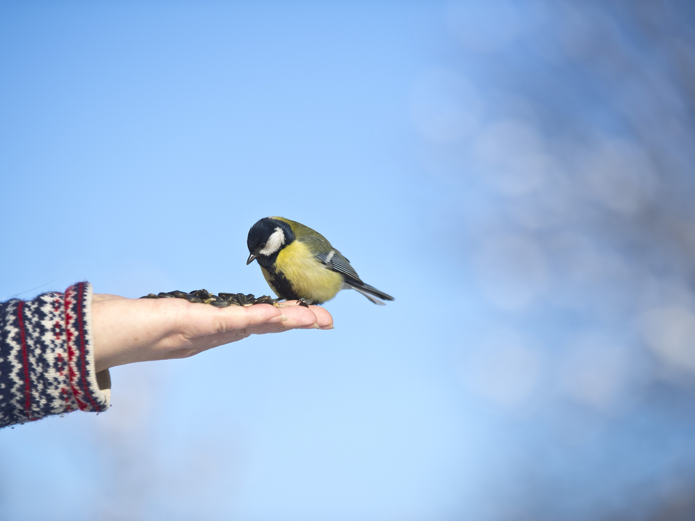 7 Reasons Why Trust Is More Important Than Love