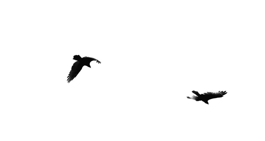 8 Reasons He Was The Perfect Guy And The One Reason I Let Him Go (And I Don’t Regret It)