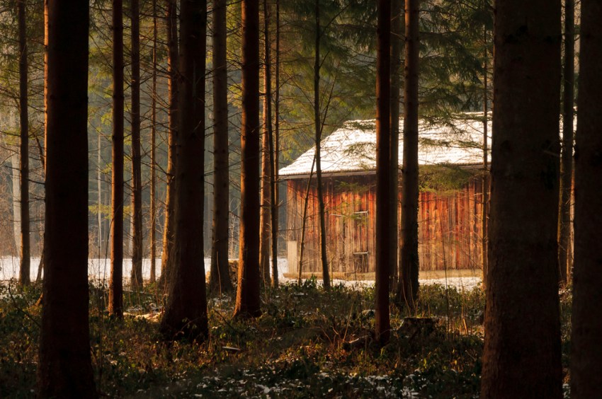 15 Things I Learned From Ditching NYC To Build A Cabin In The Woods
