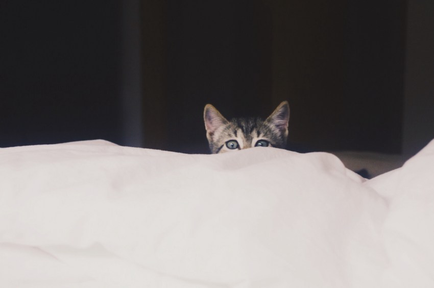 14 Essential Signs You’re Dating Someone Who’s Socially Selective