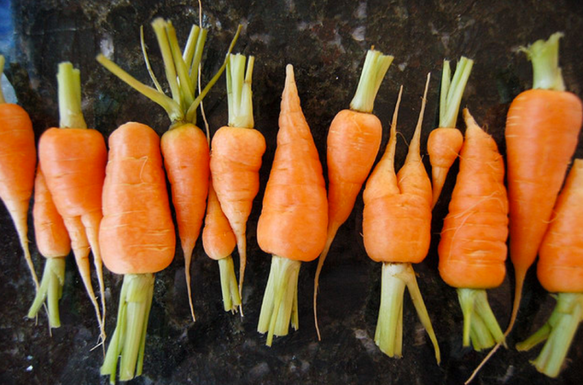 16 People Share The Thing That (Finally) Helped Them Lose Weight