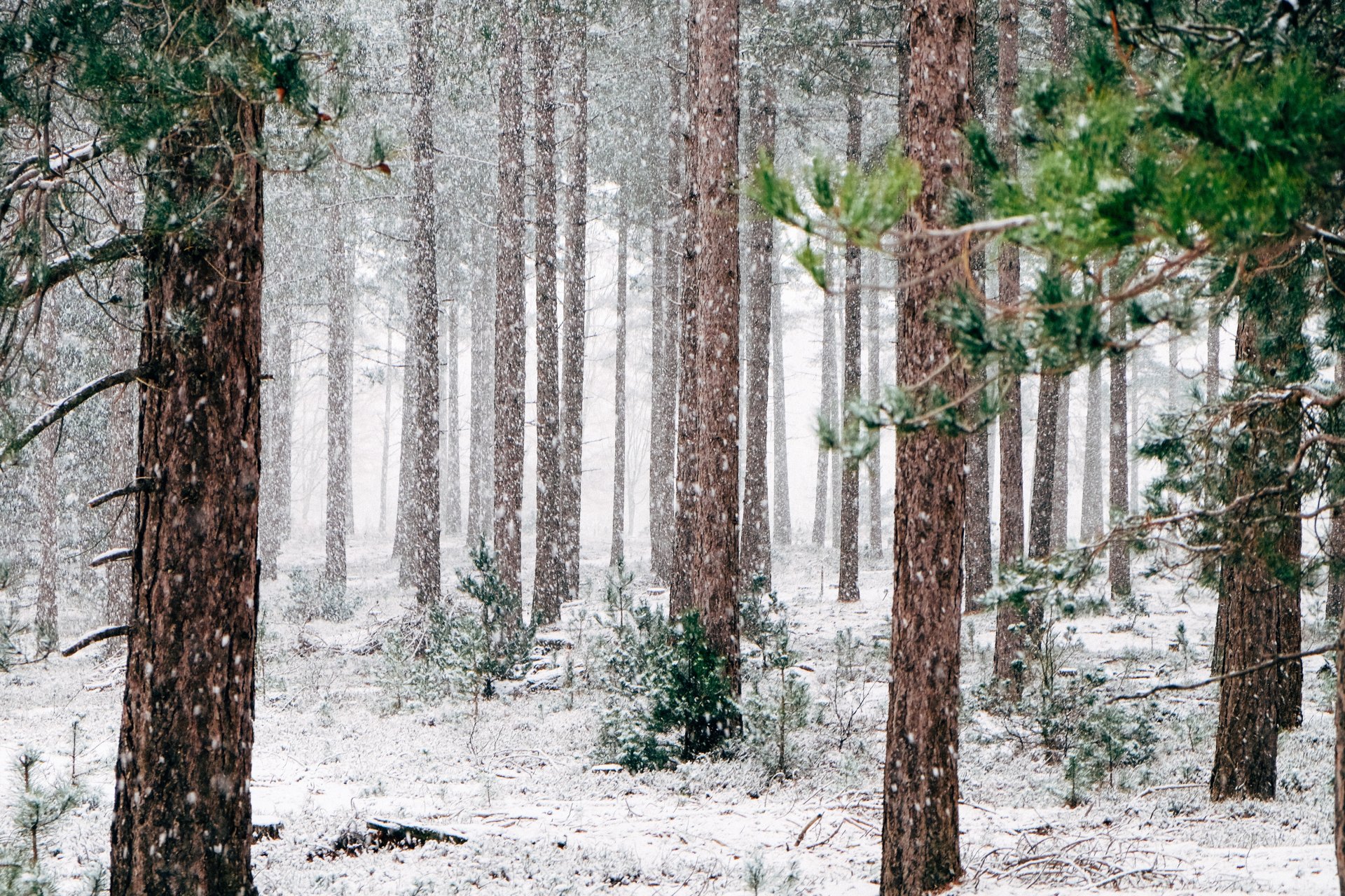 7 Hidden Benefits Of Winter