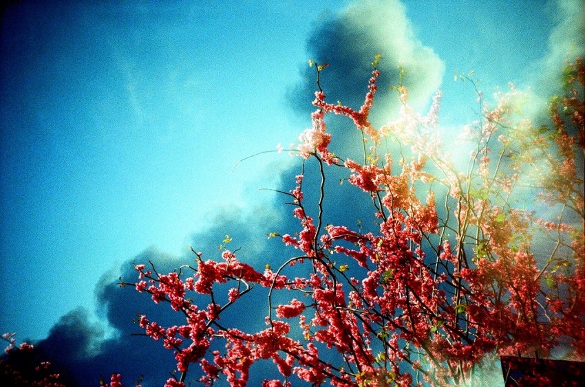 This Is What I Mean When I Say, ‘I Love You.’